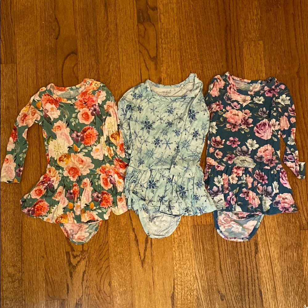Posh Peanut Bodysuit Dresses Size 18-24 months